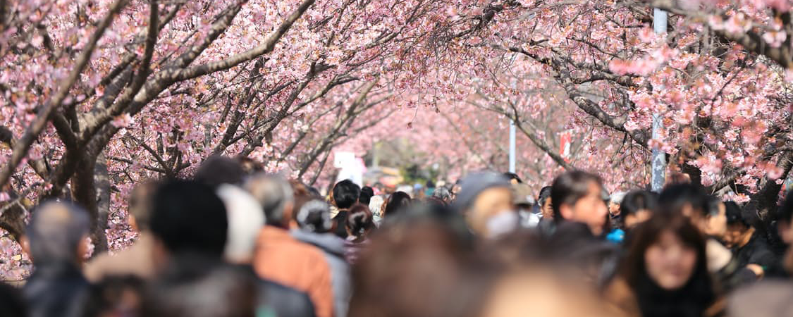 roi-of-crowdsourcing