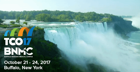 niagara-tco-giphy-stacked