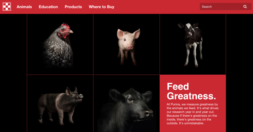 purina-feed-1024x536