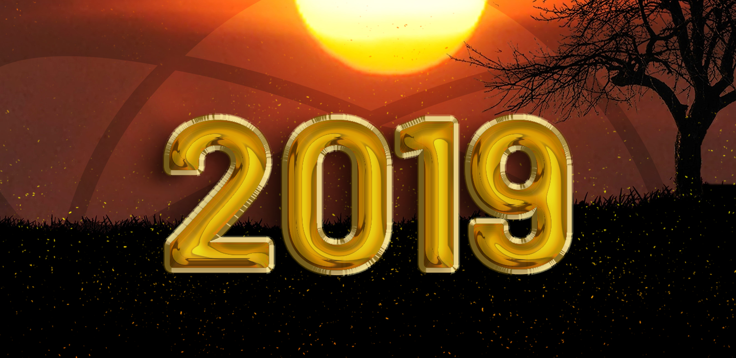 2019 In Review
