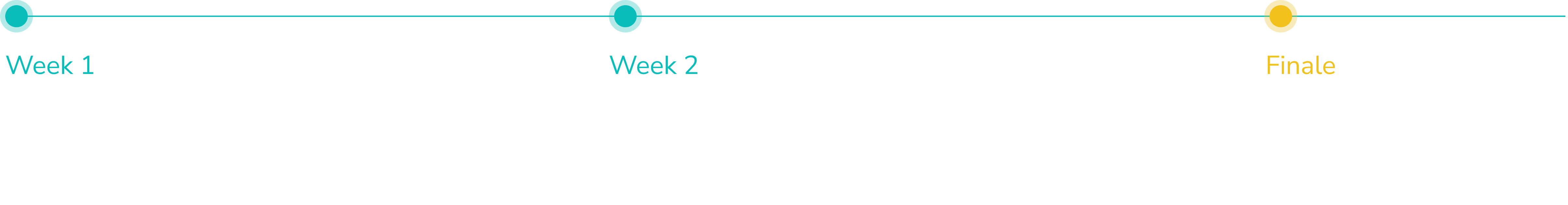Timeline IIT Program
